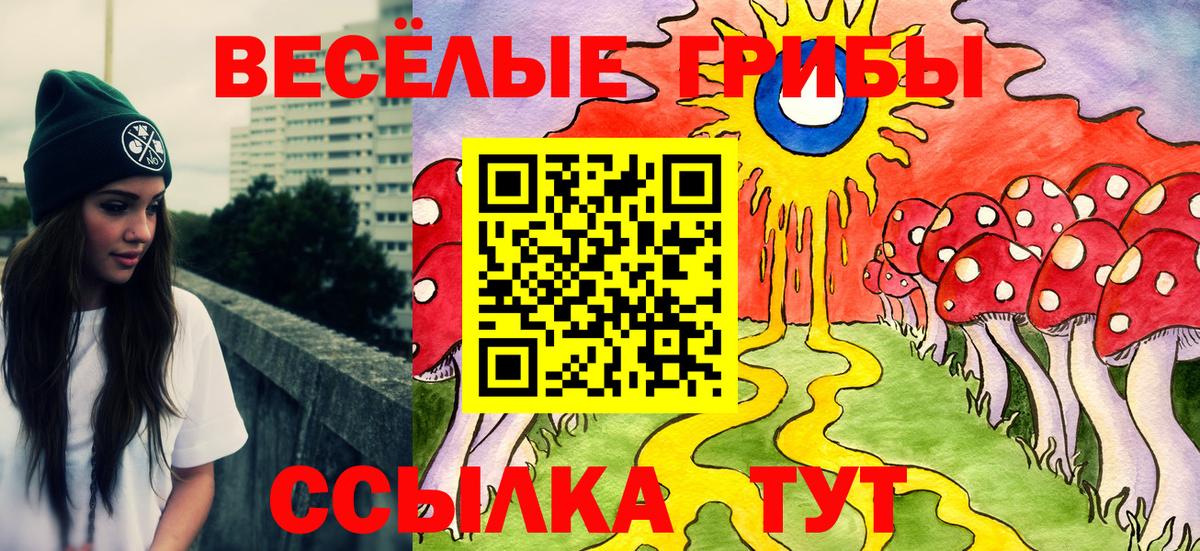 Сосновоборск  Псилоцибиновые грибы Psilocybine cubensis  Вход с VPN 